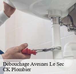 Débouchage avesnes-le-sec-59296 CK Plombier
